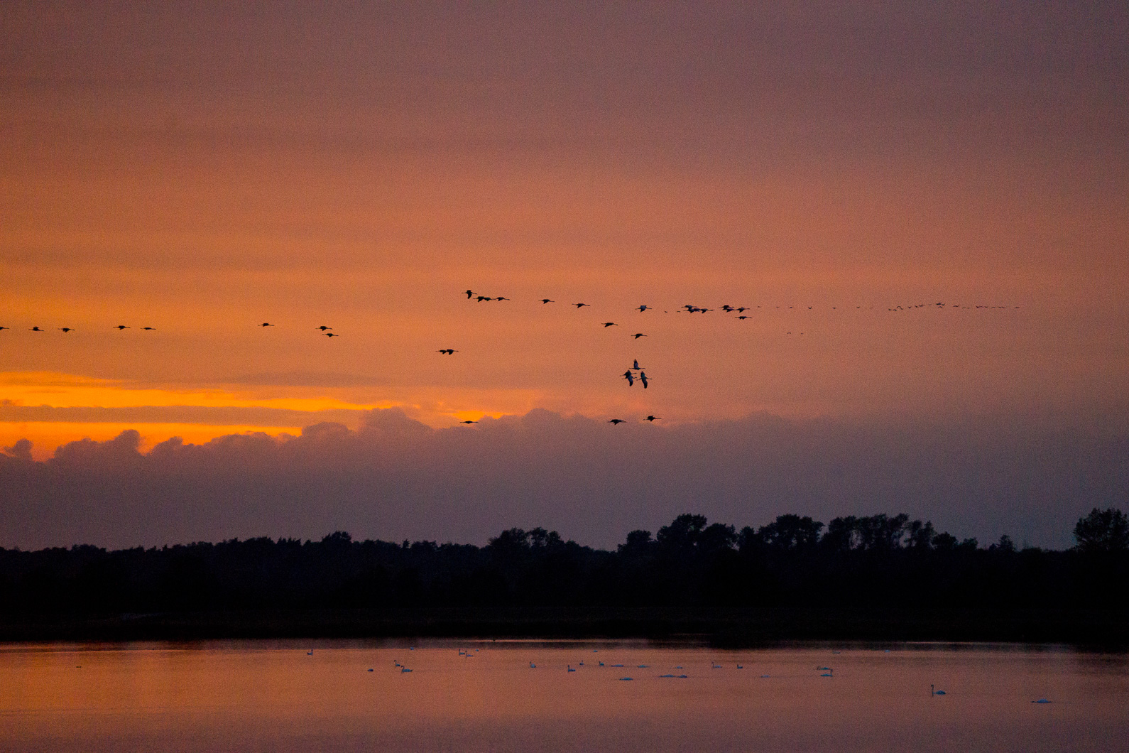20160920 190414 Kranichtour nach Pramort Darß